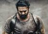 Is this the storyline of Prabhas Salaar?