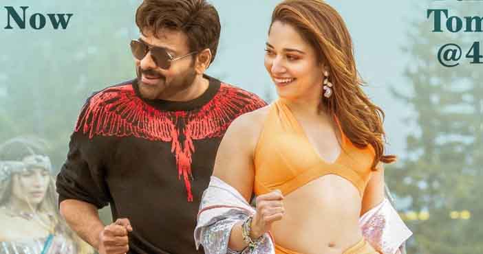 Will Milky Beauty raise expectations for Bholaa Shankar? 1 Will Milky Beauty raise expectations for Bholaa Shankar