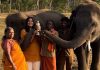 The Elephant Whisperers couple sent a legal notice to makers over compensation