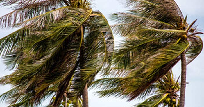 విషాదం: గాలిదుమారానికి ఎగిరిపోయి.. ప్రాణాలు కోల్పోయిన చిన్నారి 1 The child died due to heavy wind