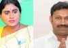 Andhra Pradesh Elections 2024: Sharmila to contest against cousin Avinash Reddy in Kadapa avinash reddy sharmila