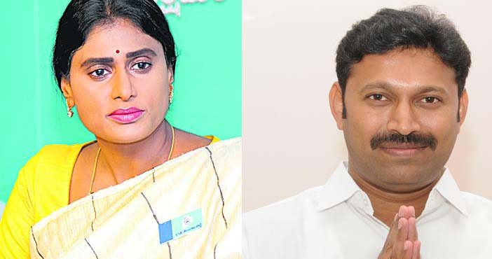 avinash reddy sharmila
