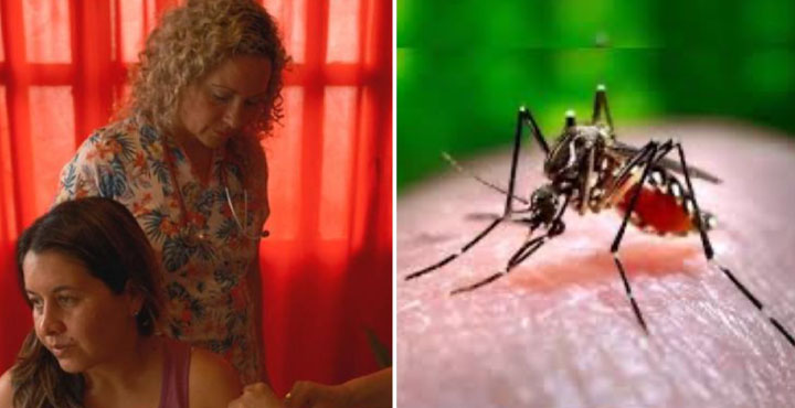 Argentina runs short of mosquito repellent; Dengue spreads like wild fire 1 1 2 Argentina