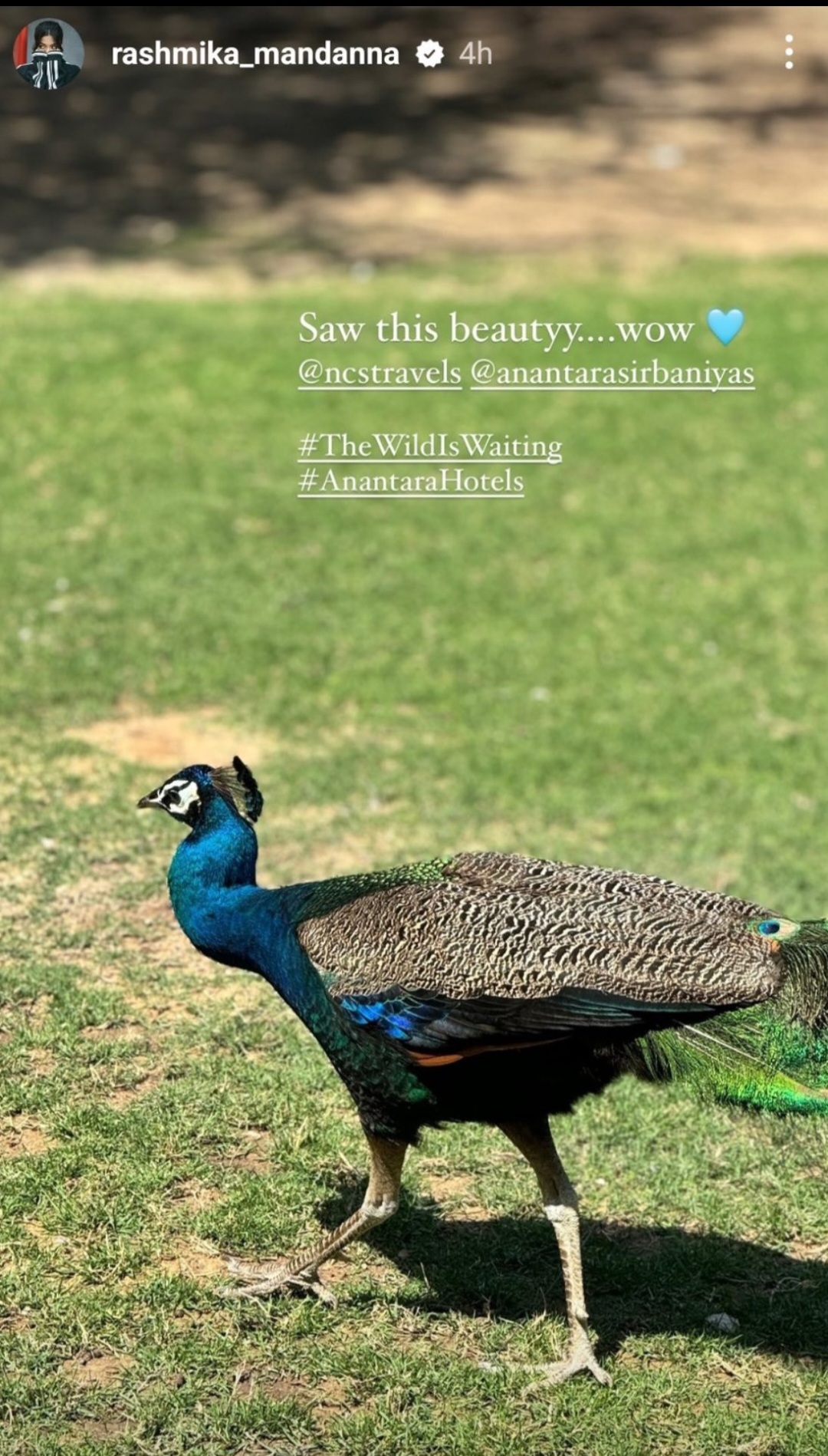 Screenshot 20240404 071631 X Vijay