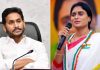 YS Sharmila: మా అన్న జగన్ వైఎస్సార్ వారసుడు ఎలా అవుతాడు? YS Sharmila