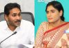 YS Sharmila criticizes YS Jagan Mohan Reddy over congress support issue YS Sharmila criticizes YS Jagan Mohan Reddy over congress support issue.