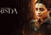 Brinda: త్రిష నటించిన కొత్త వెబ్ సిరీస్ ఎలా ఉందో తెలుసా? Trisha stuns with Brinda OTT series