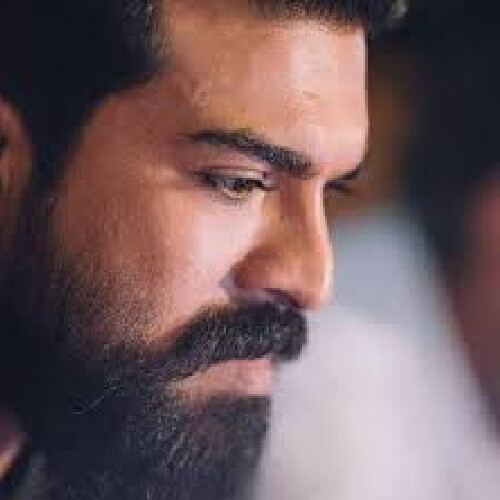 New Project 2024 09 24T095117 Top 9 highest-paid Telugu actors 2024,highest paid Telugu actors 2024,Telugu heroes remuneration,Mahesh Babu remuneration,Allu Arjun Remuneration