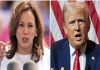 US elections 2024: Kamala Harris vs Trump – Who do Telugu voters support? US elections 2024: Kamala Harris vs Trump – Who do Telugu voters support?