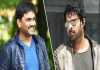Maruthi’s 6 Stories to Become Films Maruthi’s 6 Stories to Become Films