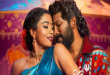 Allu Arjun కొత్త సినిమాలో విలన్ గా మారిన శ్రీ వల్లి?