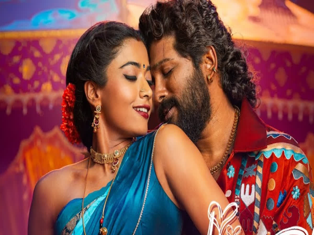 pushpa Allu Arjun,Allu Arjun next movie